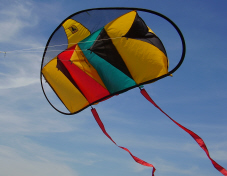 Zheng in his patent:"Thus, there still remains a need for flying structures, such as a kite, that preserves all the beauty, flight and enjoyment of conventional kites, while providing the hobbyist with convenience in use, storage and transportation."